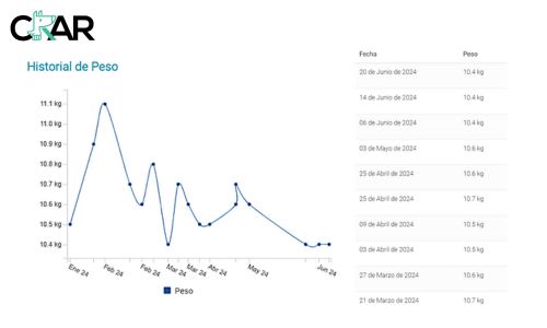 Gráfica de la evolución del peso de Chimay durante su plan de rehabilitación en CRAR