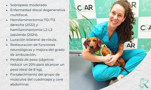 Marina, veterinaria de CRAR, con la paciente Chimay, junto a lista de diagnósticos y objetivos de rehabilitación