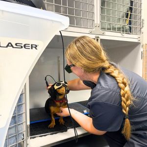 Esther, ATV rehabilitadora, aplicant teràpia làser a un pacient hospitalitzat al CRAR.